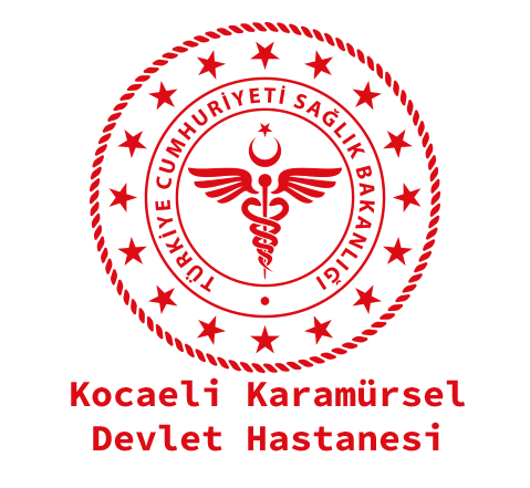 Karamürsel Devlet Hastanesi : 